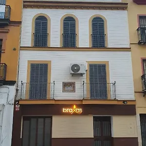 Loft Céntrico Siviglia